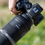Are the Canon RF600mm and RF800mm really as good as claimed?