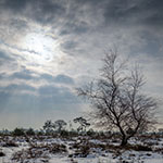 Create calm in your photos with a low viewpoint