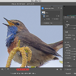 Masks in Adobe Camera Raw get feathering