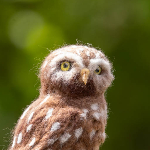 Difference in depth of field when cropping or using a teleconverter