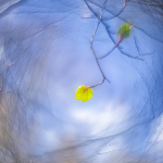 Spring in pictures - photos from our Photofacts Academy community