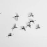 A little movement when panning