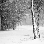 The best snow photos from our members
