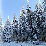 Nature photography tip: Predicting snow with Windy