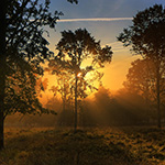 Nature photography tip: Watch the direction of the sun on arrival Nature photography tip: Watch the direction of the sun on arrival