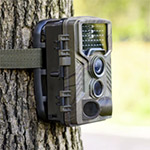 Getting started with a trail camera, what you need to know