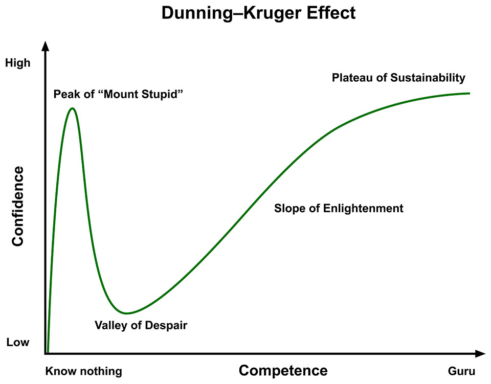 Dunning Kruger effect Dunning Kruger effect